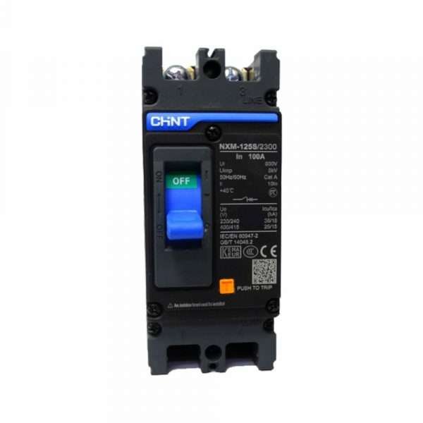 CAJA MOLDEADA 2P-100A-36KA/220V CHINT