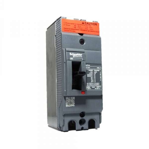 CAJA MOLDEADA 2P-80A-30KA SCHNEIDER ELECTRIC